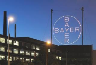 Bayer sale a buscar una agencia creativa digital y de medios